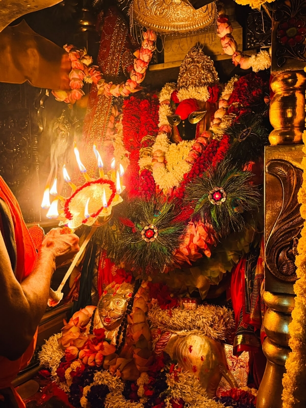 रत्नजड़ित आभूषणों से सजी मां विंध्यवासिनी रत्नजड़ित आभूषणों से सजी मां विंध्यवासिनी