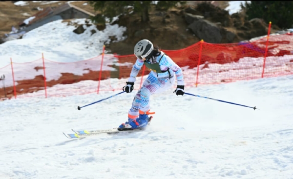 स्किइंग