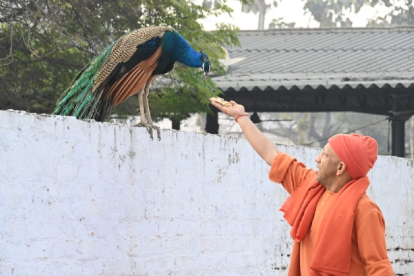 लोगों से बोले सीएम योगी - चिंता मत करें, हर समस्या का होगा समाधान, सबकी होगी भरपूर मदद* लोगों से बोले सीएम योगी - चिंता मत करें, हर समस्या का होगा समाधान, सबकी होगी भरपूर मदद*