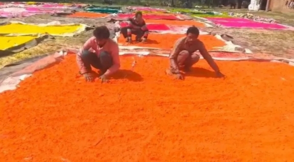 फोटो फोटो