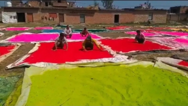 फोटो फोटो