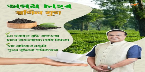 असमे ऑर्थोडॉक्स चाय इति विषये अनुदानं 10 तः वर्धित्वा 15 रुप्यकाणि प्रतिकिलोमितम्