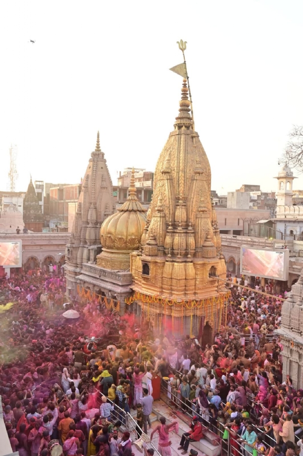 रंगभरी एकादशी