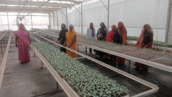 राजकीय नर्सरी में तैयार बेसन को देखते हुए किसान बहनों का छाया चित्र