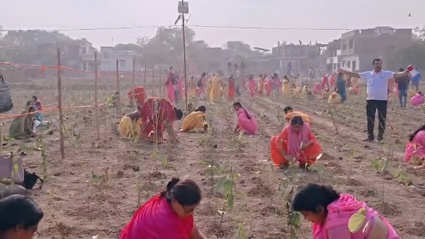 वैश्विक पौधरापण में भागीदारी करती महिलाएं और स्कूली बच्चे