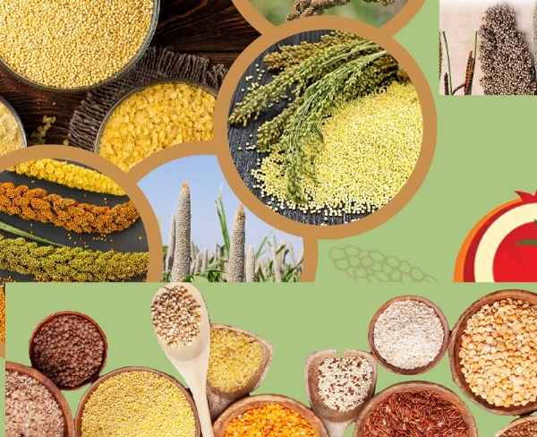 मिलेट्स (प्रतीकात्मक)