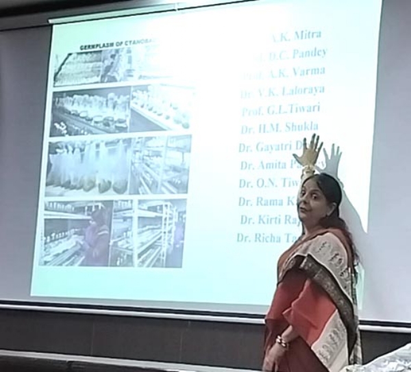 प्रो डॉ ऋचा टंडन