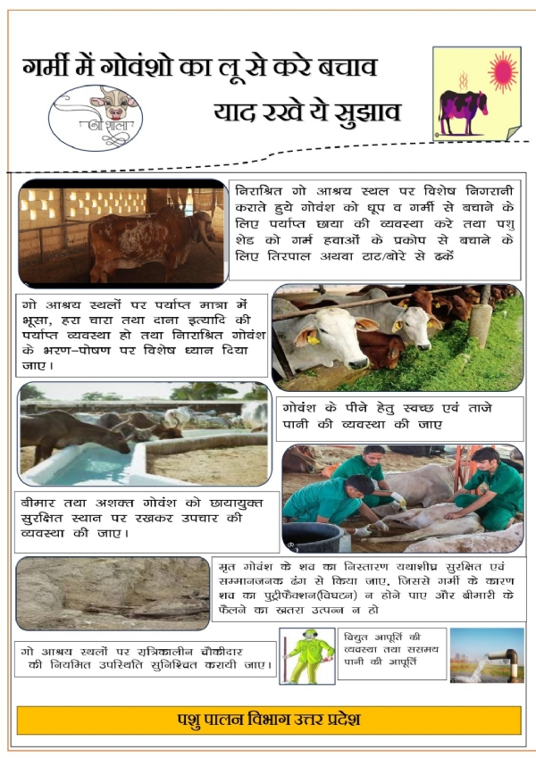 पशुपालन विभाग के जारी अलर्ट का छाया चित्र पशुपालन विभाग के जारी अलर्ट का छाया चित्र