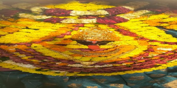 चौकिया-धाम्नि मातुः शीतलायाः भव्यः श्रृङ्गारः, पाटल-जम्बीर-मालाभिः अलङ्कृता भक्तेभ्यः दर्शनं दत्तवती