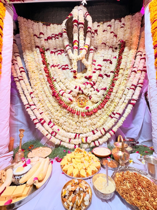 अदलपुर स्थित बड़ी शीतला माता की सजी झांकी।