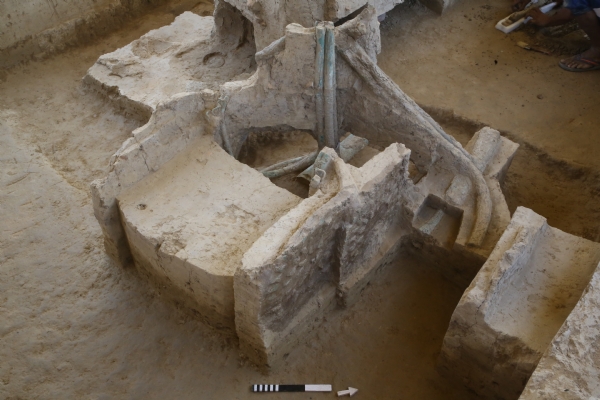 बागपत जिले में सादिकपुर सिनाैली साइट की खुदाई में मिला रथ