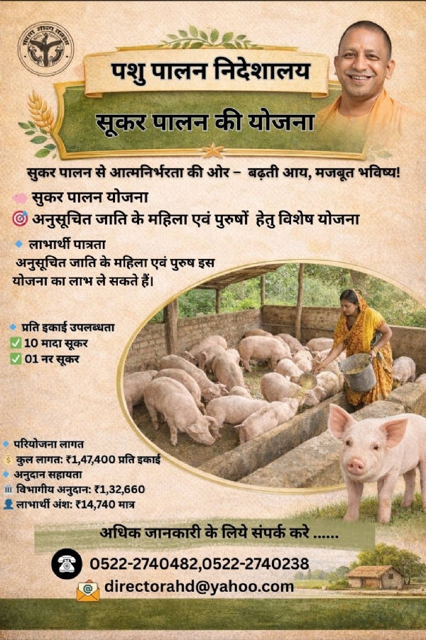 सूकर पालन का छाया चित्र