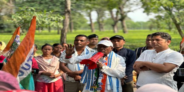 चाय बागानक्षेत्रे तृणमूलप्रत्याशिनोऽकुर्वन् प्रचारम्