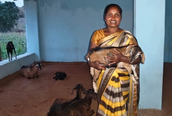 लखपति दीदी।