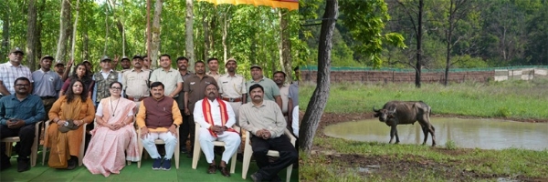 मुख्यमंत्री डॉ. मोहन यादव ने कान्हा नेशनल पार्क में जंगली भैंसों के पुनर्स्थापन कार्य का किया शुभारंभ