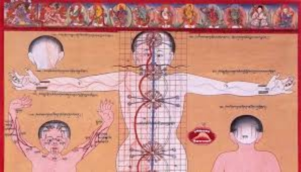 पारंपरिक चिकित्सा प्रणाली ‘सोवा रिग्पा