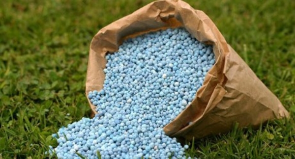 उर्वरक का प्रतीकात्मक चित्र उर्वरक का प्रतीकात्मक चित्र