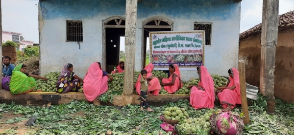 महादेव महिला आजीविका संगठन की महिलाएं