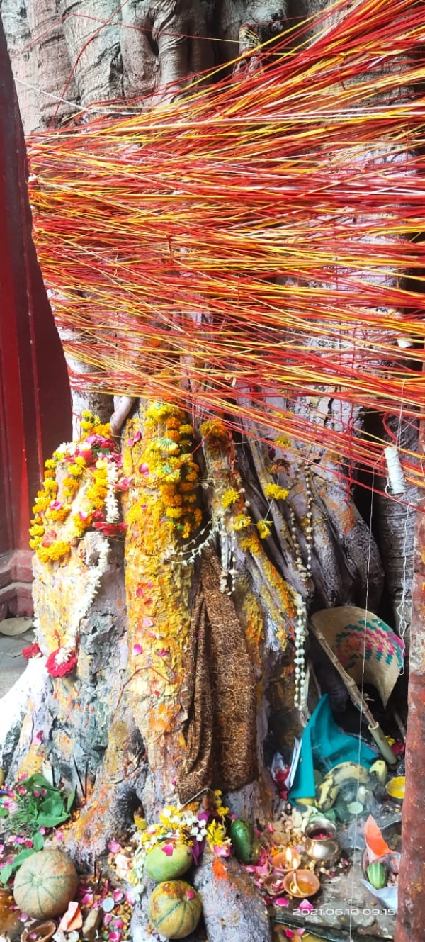फोटो प्रतीक