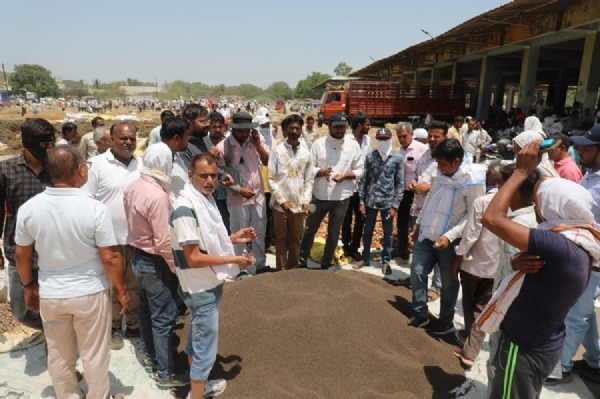 मध्य प्रदेश के नीमच जिले की हर्बल मंडी