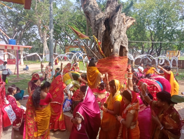 Vatsavitri