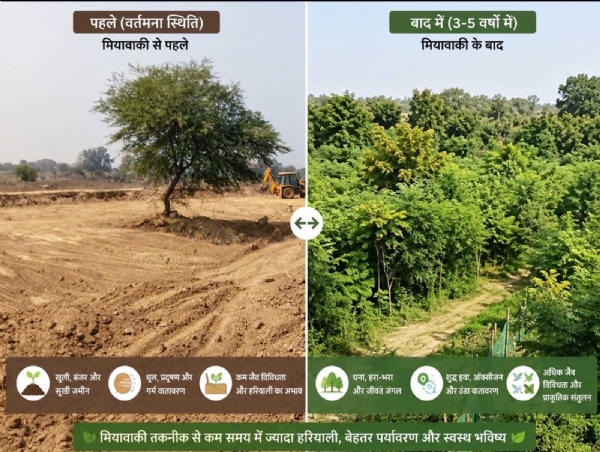 बिलासपुर के अरपा तट पर तैयार हाे रही मियावाकी ऑक्सीजन जोन बिलासपुर के अरपा तट पर तैयार हाे रही मियावाकी ऑक्सीजन जोन