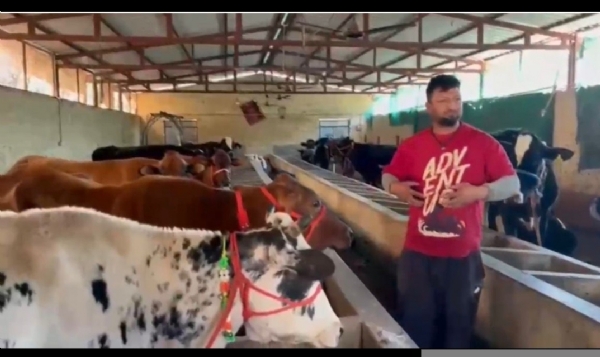 गोशाला में राहुल।