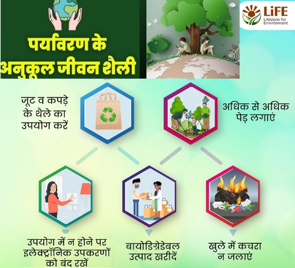 ‘पर्यावरण अनुकूल जीवनशैली’ (प्रतीकात्क तस्वीर)