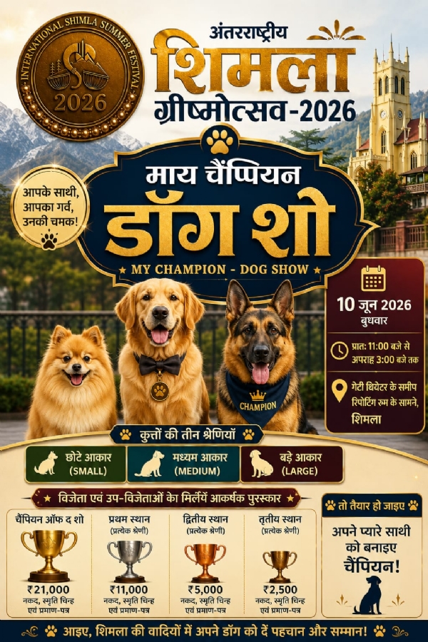 डॉग शो
