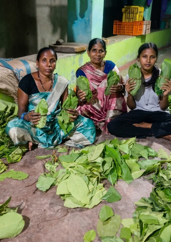 हरा सोना’ बना रामपुर की समृद्धि का आधार, शासन की योजना से कारी बाई और खेमबाई को मिला प्रत्यक्ष लाभ
