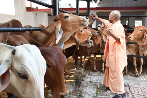 मुख्यमंत्री ने गोसेवा भी की, मंदिर परिसर के भ्रमण के दौरान बच्चों से किया संवाद*