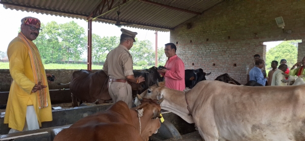 गौशाला गौशाला