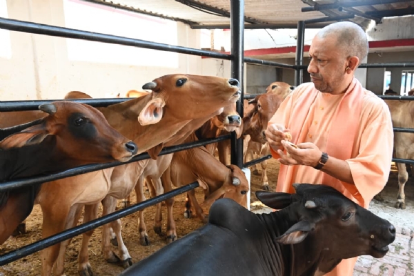 सीएम योगी ने गोरखनाथ मंदिर में लगातार दूसरे दिन आयोजित ‘जनता दर्शन’ में 200 लोगों की सुनी समस्याएं*