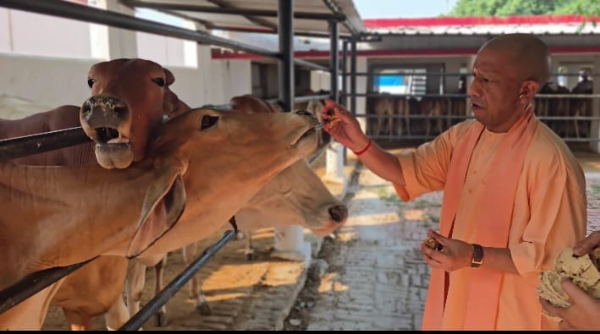 अधिकारियों को सीएम ने दिए निर्देश, जन समस्याओं पर दिखाएं त्वरित संवेदनशीलता*