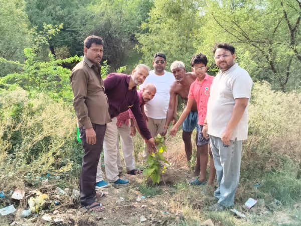 फोटो। पौधा लगाने हुए लोग
