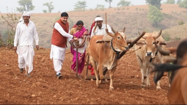मुख्यमंत्री डॉ. मोहन यादव ने बैतूल के कुकरू में खेत में चलाया हल