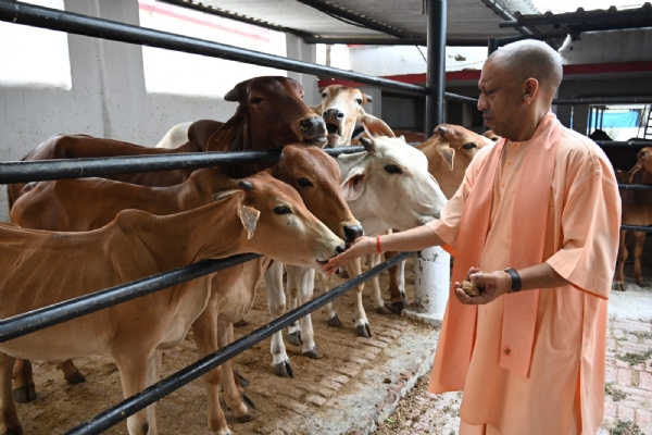 Photo caption: माननीय मुख्यमंत्री योगी आदित्यनाथ जी 3 मई को गोरखपुर में जनता दर्शन और गो सेवा करते हुए