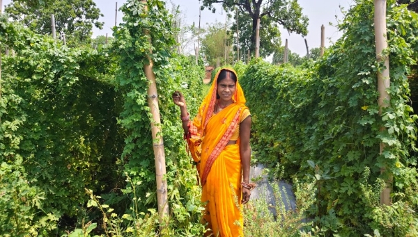 लाभार्थी महिला। लाभार्थी महिला।