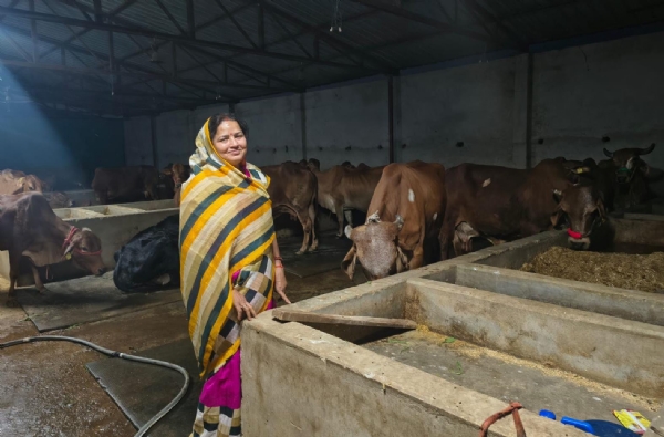 नंदनी योजना की लाभार्थी शकुंतला देवी नंदनी योजना की लाभार्थी शकुंतला देवी