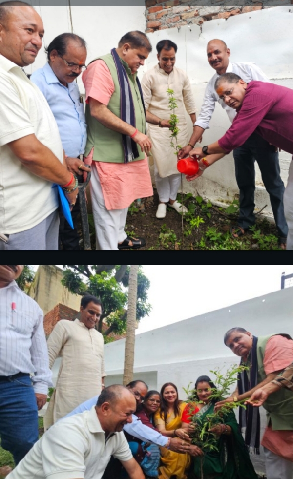 भाजपा प्रदेश अध्यक्ष महेंद्र भट पौधरोपण करते हुए। भाजपा प्रदेश अध्यक्ष महेंद्र भट पौधरोपण करते हुए।