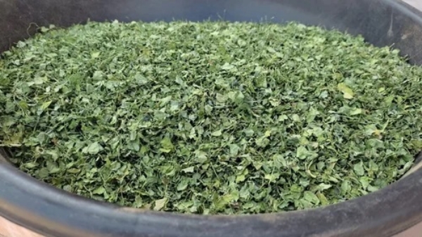 Nagaur Pan Methi Nagaur Pan Methi