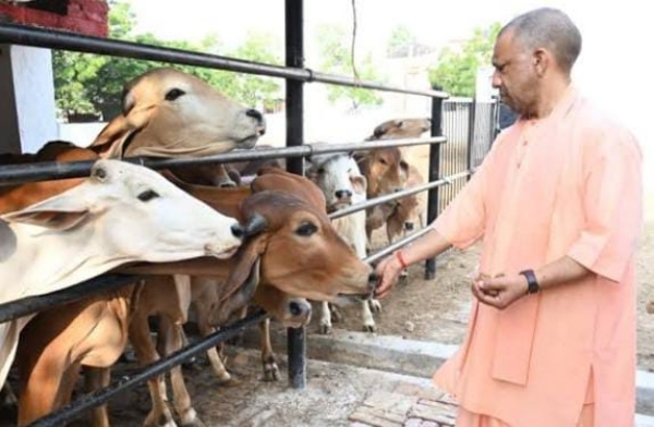 योगी सरकार के दुग्ध उत्पादन से जुड़े फोटो