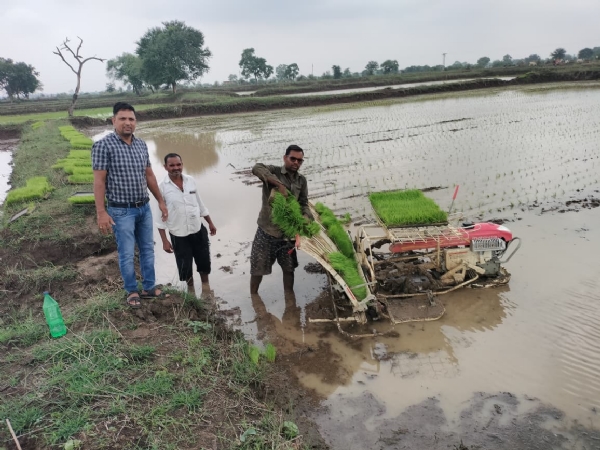 पैडी ट्रांसप्लांटर के माध्यम से धान की रोपाई कर रहे किसान