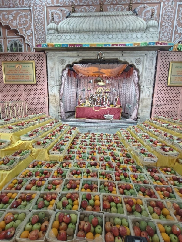 देवशयनी एकादशी पर गोविंददेवजी मंदिर में गूंजे वैदिक मंत्र