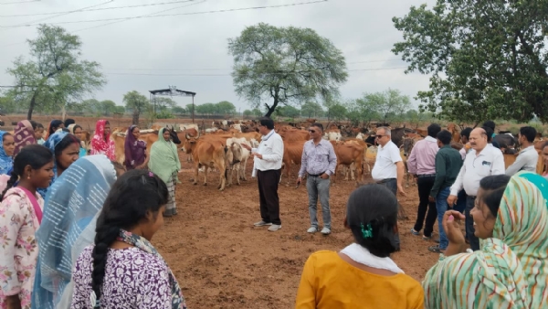 वैज्ञानिक पशुपालन से आत्मनिर्भरता की राह पर बढ़ीं महिला पशुपालक वैज्ञानिक पशुपालन से आत्मनिर्भरता की राह पर बढ़ीं महिला पशुपालक