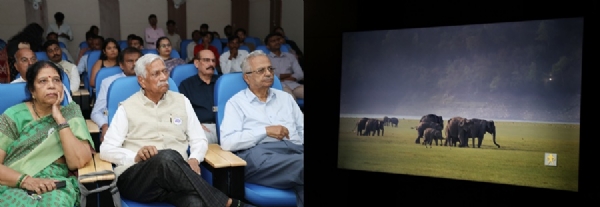 विश्व ऐलीफेंट दिवस पर ऐलिफेंट फिल्म का प्रदर्शन