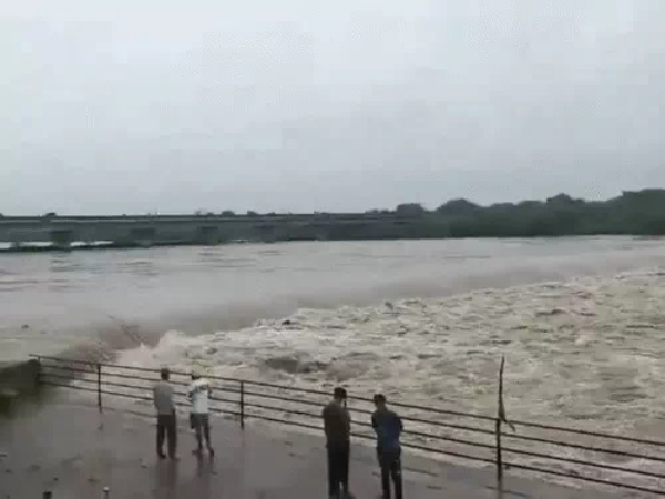 फाइल फाइल