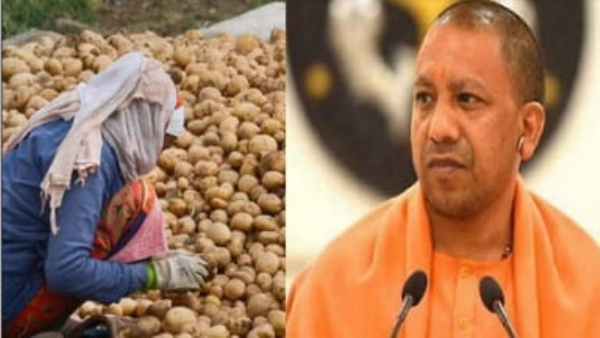 मुख्यमंत्री योगी का आलू किसान के साथ फोटो मुख्यमंत्री योगी का आलू किसान के साथ फोटो