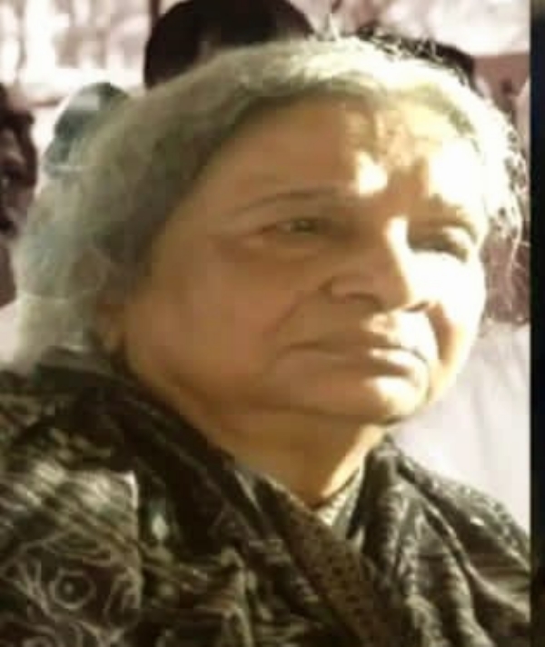 फाइल फोटो मीरा देवी