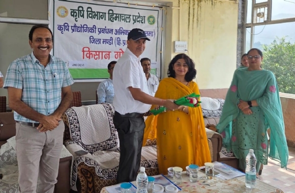 डा. प्राची को सम्मानित करते हुए। डा. प्राची को सम्मानित करते हुए।